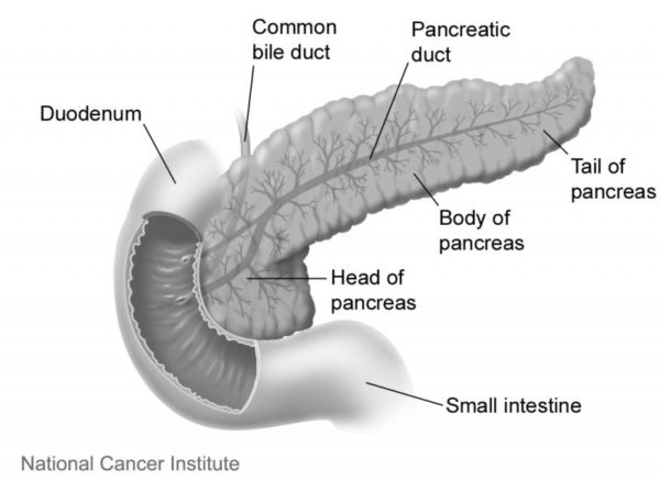 Pancreatic cancer from pancreatitis - Pancreatic cancer blood tests, CA (Antigen carbohidrat)